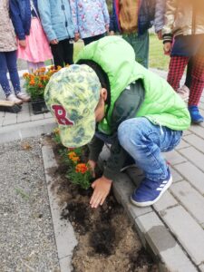 Chłopiec z grupy przedszkolnej sadzi kwiaty obok przedszkola