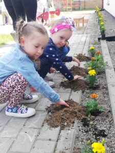 Przedszkolaki sadzą kwiaty